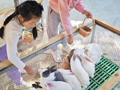 -史努比缤纷世界