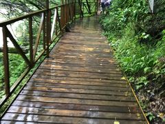 -青峰峡国家森林公园