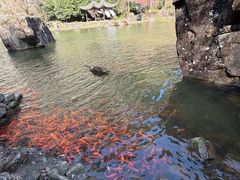 -刘伯温故里景区百丈漈