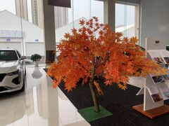 -凯迪拉克·上海百联沪通(汶水路店)