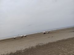 -江山半岛白浪滩景区