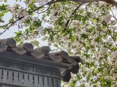 -南开大学(八里台校区)