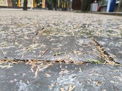 -黄帝陵