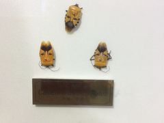 -上海昆虫博物馆