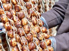 -青山青豆花·笑禅豆腐鱼(黄泥塝店)