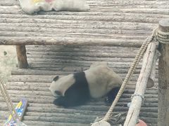 -大连森林动物园