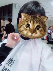 -崇尚GAVIN STYLE