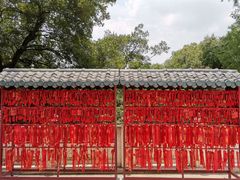 -九华山公园