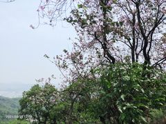 -广州市白云山风景名胜区