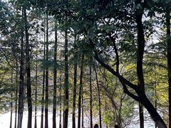 -松山湖风景区松湖烟雨