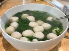 -丁老爷子苏香圆
