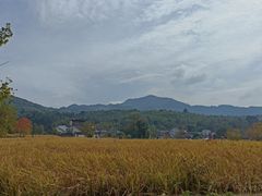 -塔川景区