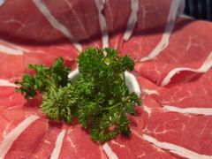 -蒙都43°9羊火锅·赤峰美食(宁城店)