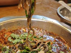 -乐山第一家临江鳝丝(茶坊路店)