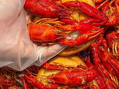 -海岛八号龙虾烧烤田鸡(蓝天路总店)