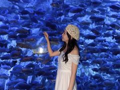 -哈尔滨波塞冬海底世界