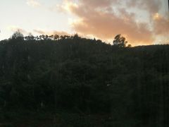 -长虫山生态公园风景林