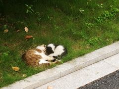 -河海大学(常州校区)