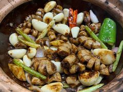 生啫金边花鳝-天宝食坊·啫啫煲大排档(西华路店)