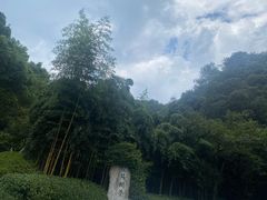 -杭州西湖风景名胜区-满觉陇四眼井