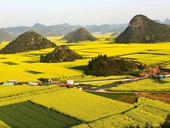 -牛街螺丝田