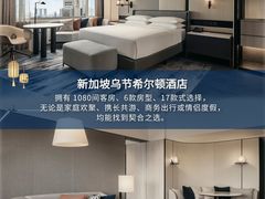 -新加坡乌节希尔顿酒店 (SG Clean)