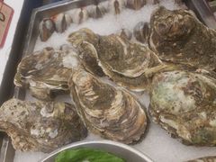 -飞尝蚝·顺德菜·鱼生(顺德总店)