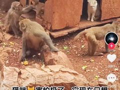 -昆明动物园
