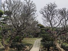 -南宁南湖公园