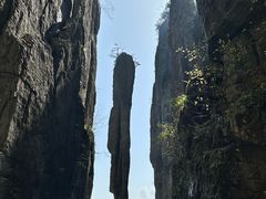 -恩施大峡谷