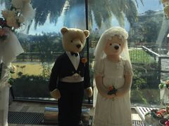 -济州岛泰迪熊博物馆