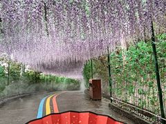 -东莞观音山旅游风景区