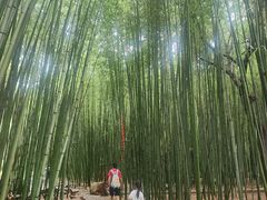 -竹泉村旅游度假区