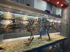 -国家自然博物馆