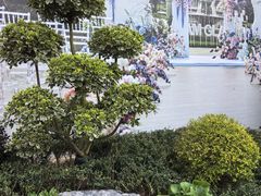 -青岛鑫江温德姆酒店