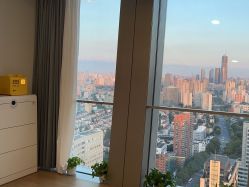 -POCO宝珂丽科技美肤