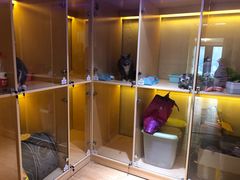 -Pets First伊珊娜洗护·精致美容·家庭式寄养(新会路店)