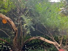 -湖南省立第一师范学校旧址