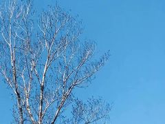 -沕沕水生态风景区