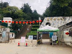 -昆明动物园