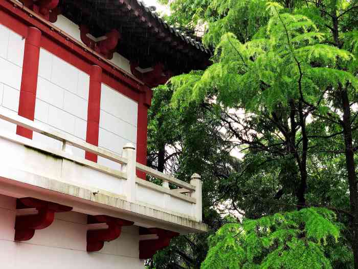 林泉山庄-"乡村式的饭菜,招待所的格调,幽静的环境,."-大众点评移动版