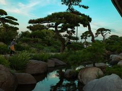 -罗红摄影艺术馆