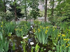 -成都市活水公园