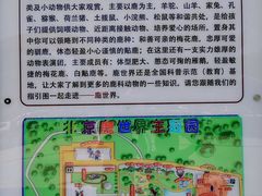 -北京鹿世界主题园