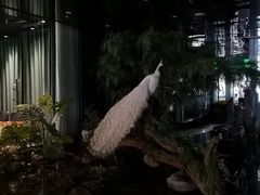 -LANN I 蘭 SPA(陆家嘴中心店)
