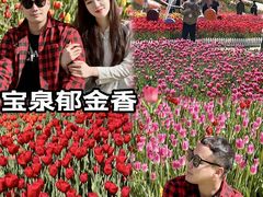 -河南宝泉旅游区