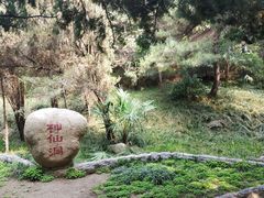 -西苑公园