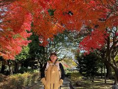 -名古屋城