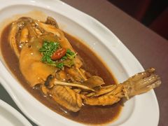 -肆月河豚·新淮扬(金融街店)