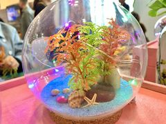 -贵州贵星奔驰4S店(观山湖店)